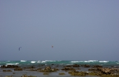 Oman, Masirah-Island_Amq_Kite-Riff