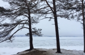 RealschuleTraunreut_Pasch-BerufUmwelt_Baikalsee-Olchon-Baeume