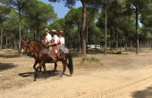 Spanien_Andalusien_Rocio_Wallfahrt_Pfingsten_Pferd_Pinienwald