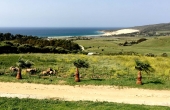 Spain_Tarifa_Playa-Valdevaqueros