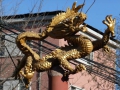 chinapekingstreetlifedrache