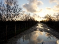 frankreich-camargue-beauduc-piste-wasserloecher