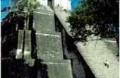 guatemalatikalpyramida
