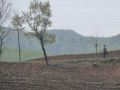 nordkoreayaluqingchengbiker