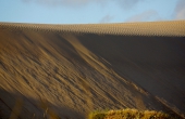 portugal_guincho_sandduene-only