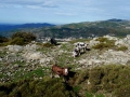 italiasarddesuloblickarcu-guddetorgiu-pass