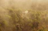 spanien-gomera_lorbeerwald_nebel-ruine