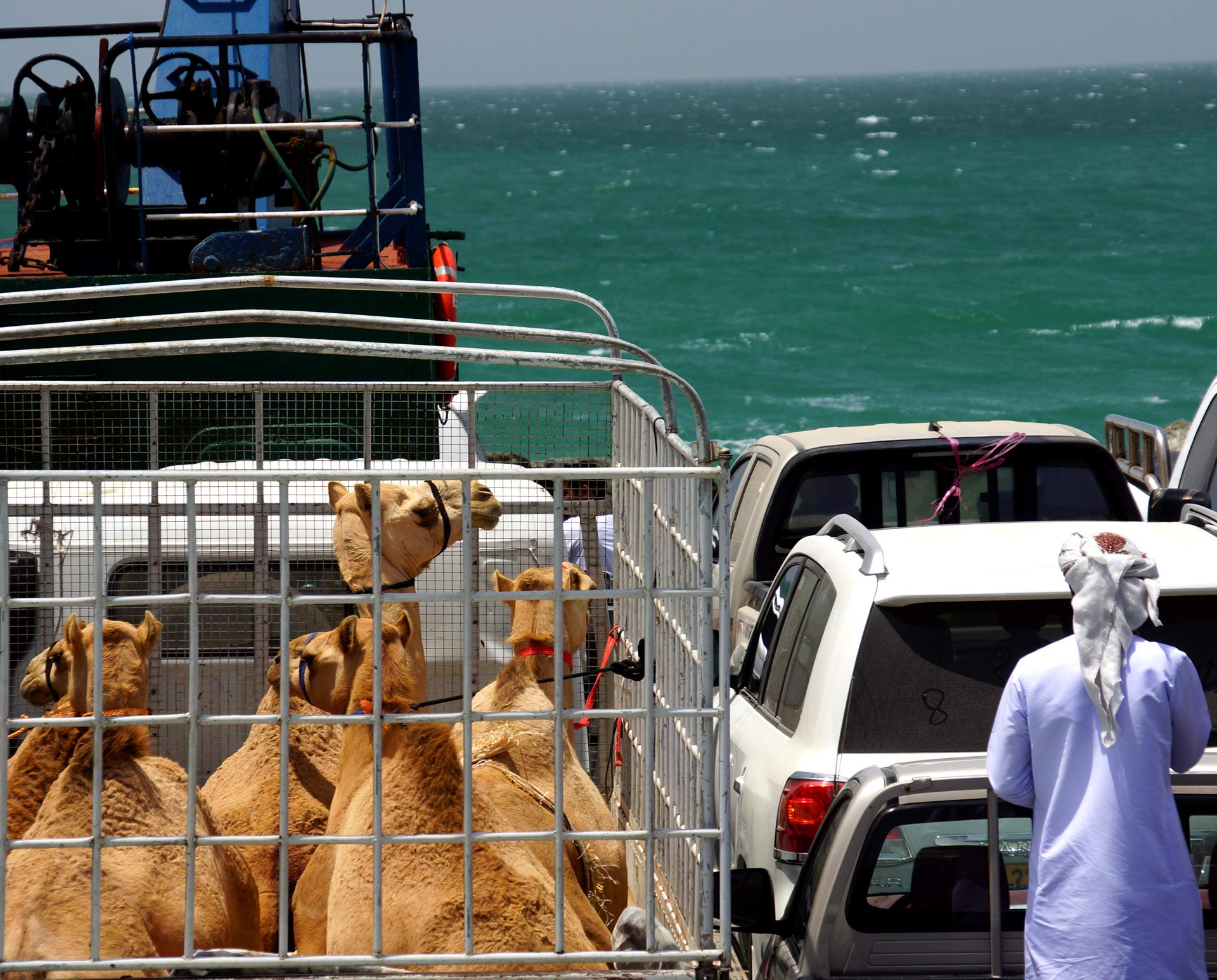 Oman Insel: MASIRAH – Lagunen & Wellen über Riffen mit Arschlochmuscheln