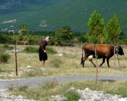 Shkodra, Thethi: Bike & Sightseeing durch den Thethi-Nationalpark (Tour 1)