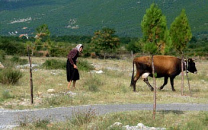 Shkodra, Thethi: Bike & Sightseeing durch den Thethi-Nationalpark (Tour 1)