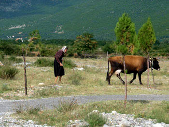 Shkodra, Thethi: Bike & Sightseeing durch den Thethi-Nationalpark (Tour 1)