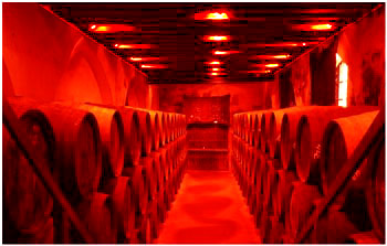 Andalusien, Jerez: Sherry ein Wein so alt wie Phönezien