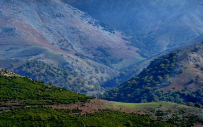 Sardinien, Parco Naturale de Gennergentu: Wandern und Offroaden auf endlosen Forstwegen