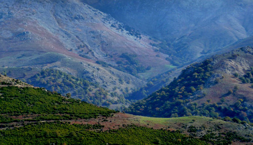 Sardinien, Parco Naturale de Gennergentu: Wandern und Offroaden auf endlosen Forstwegen