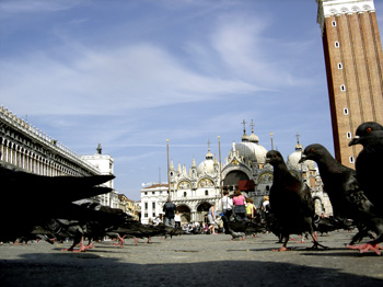 Venedig, La Piazza: Das Ende begehrter Taubenfutter-Dynastien am Markusplatz