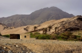 Oman, Masirah-Island_Wueste-Oase
