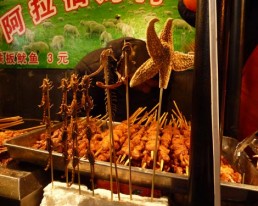Mandchurei: Chinesische Feinkost bedeutet zu Essen was die Natur hergibt. Nicht nur Käfer und Heuschrecken